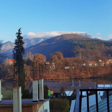 Guest house Pensiunea Doro 3*