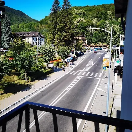 Guest house Pensiunea Doro 3*